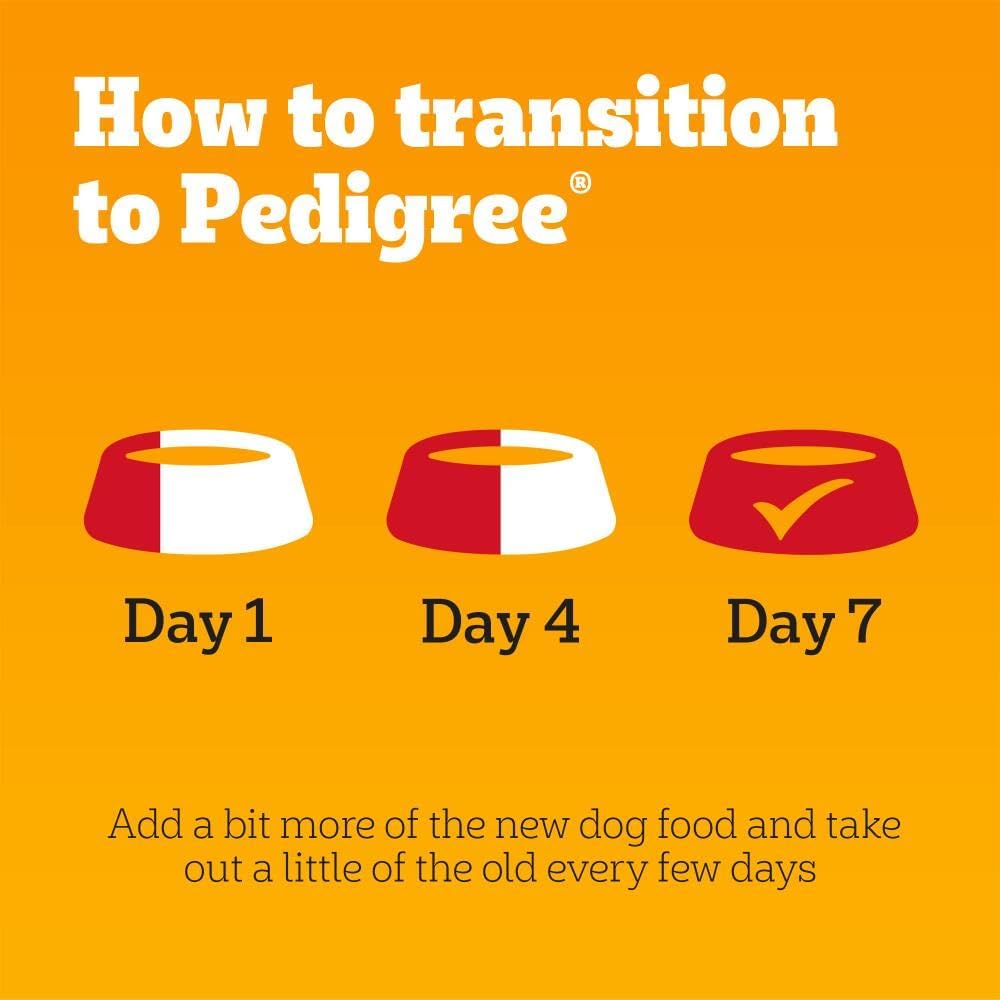 PEDIGREE Adult Dog Food Pouches Mixed Selection in Jelly 40 x 100 g Mega Pack
