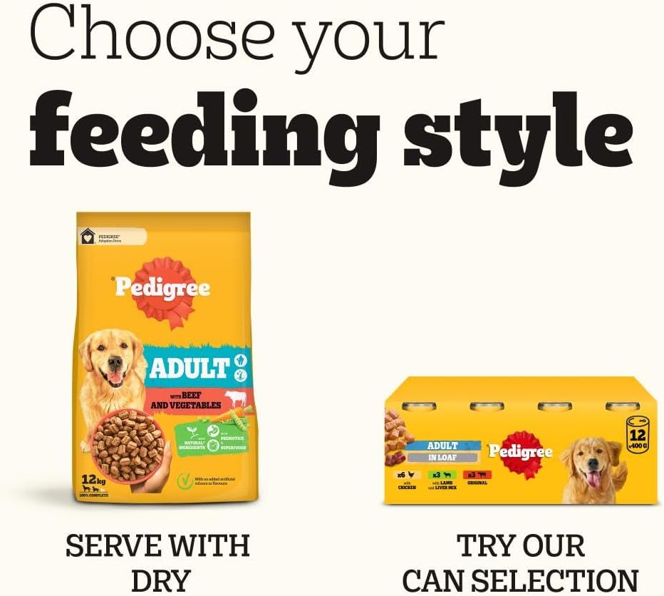 PEDIGREE Adult Dog Food Pouches Mixed Selection in Jelly 40 x 100 g Mega Pack