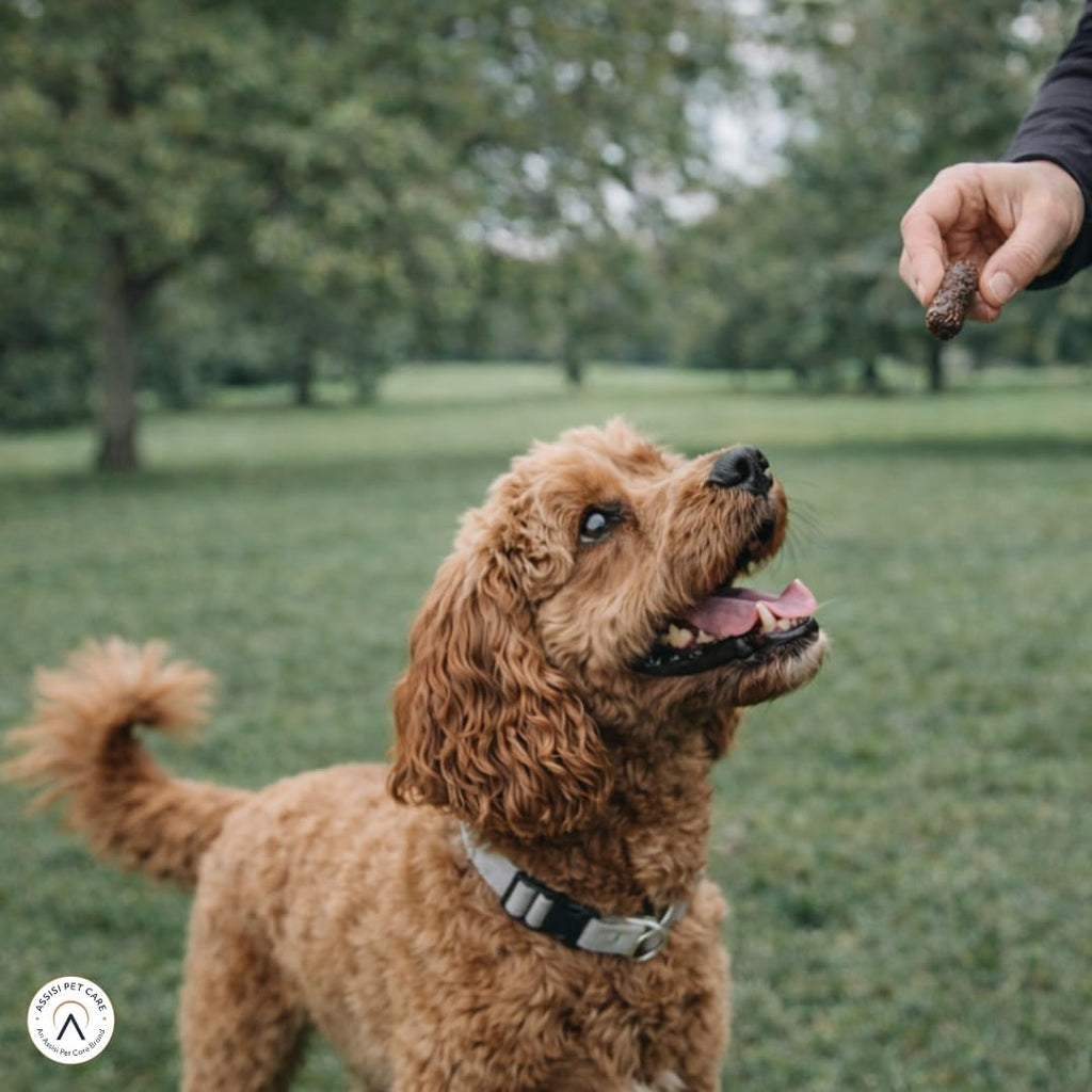 Hollings Gourmet Beef & Wild Boar Pudding Sausages Dog Treats, Delicious, Nutritious Air Dried Chews for Adult Dogs, 100% Gluten Free & Made with Natural Ingredients (70g)