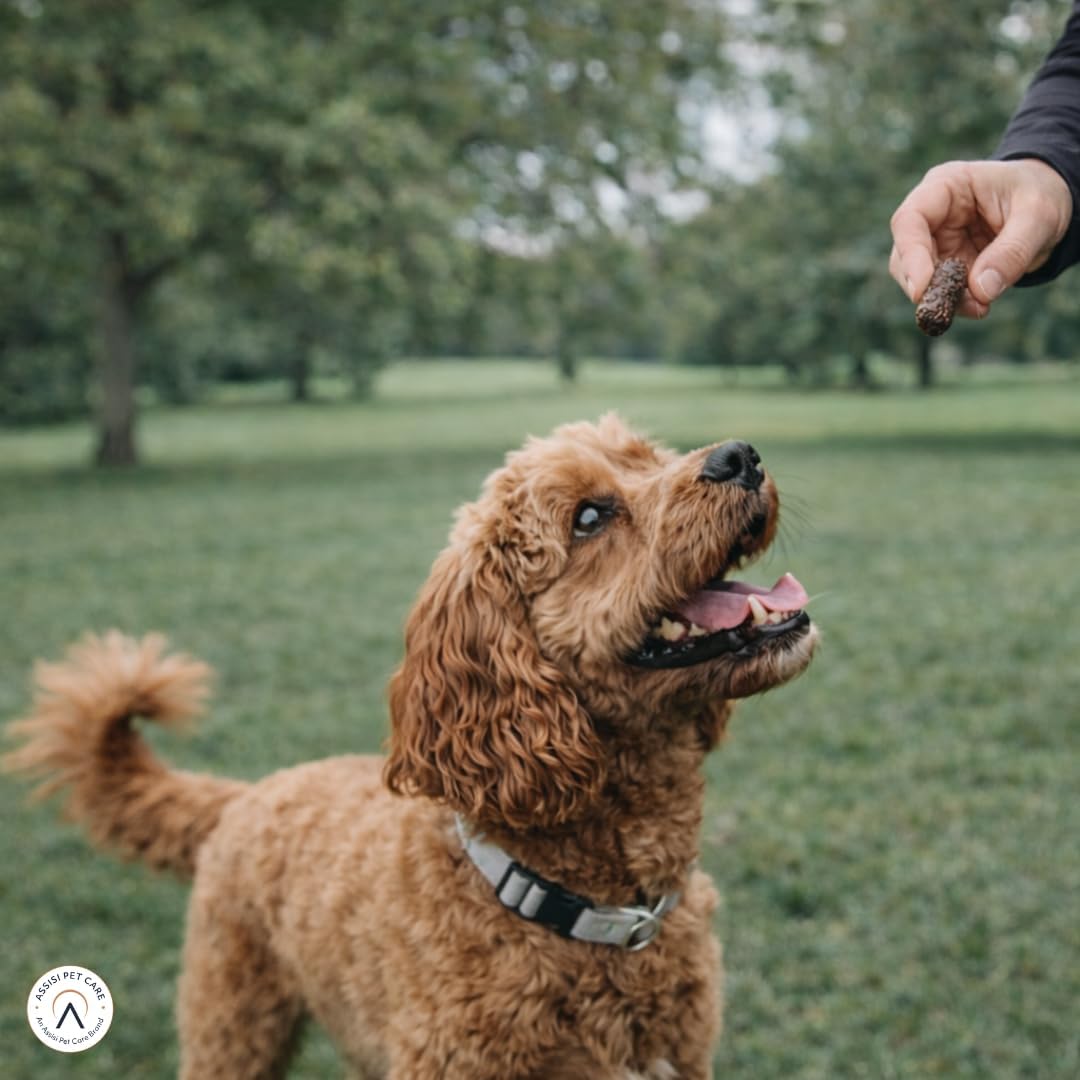 Hollings Gourmet Beef & Wild Boar Pudding Sausages Dog Treats, Delicious, Nutritious Air Dried Chews for Adult Dogs, 100% Gluten Free & Made with Natural Ingredients (70g)
