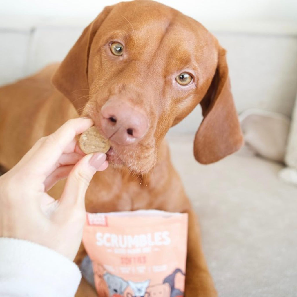 Scrumbles • Dog Treats • Hypoallergenic • All Lifestages • Chicken & Duck • 90g Bag • Gut Friendly Prebiotics • Gluten Free • Superfoods