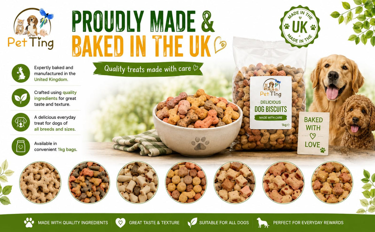 Gravy Bones Biscuits Dog Treats (1 Litre)