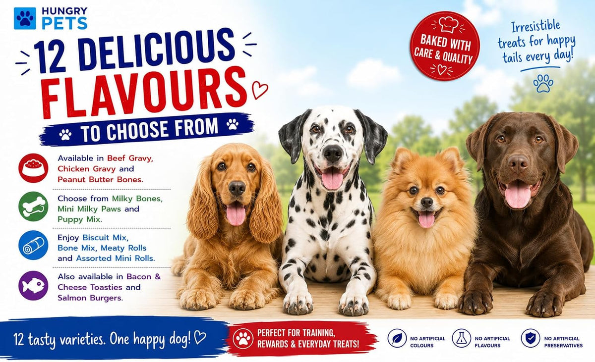Dog Biscuit Treats 2.5L (Bone Mix)