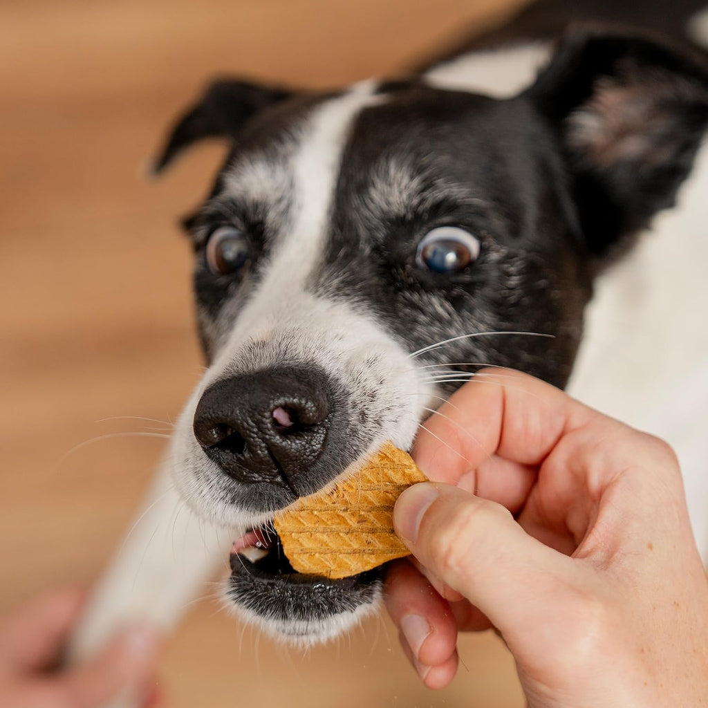 Pooch & Mutt - Fish Jerky, Training Treats, 1x210g
