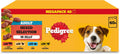 PEDIGREE Adult Dog Food Pouches Mixed Selection in Jelly 40 x 100 g Mega Pack