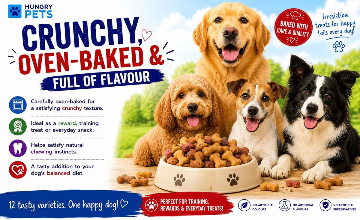 Dog Biscuit Treats 2.5L (Bone Mix)