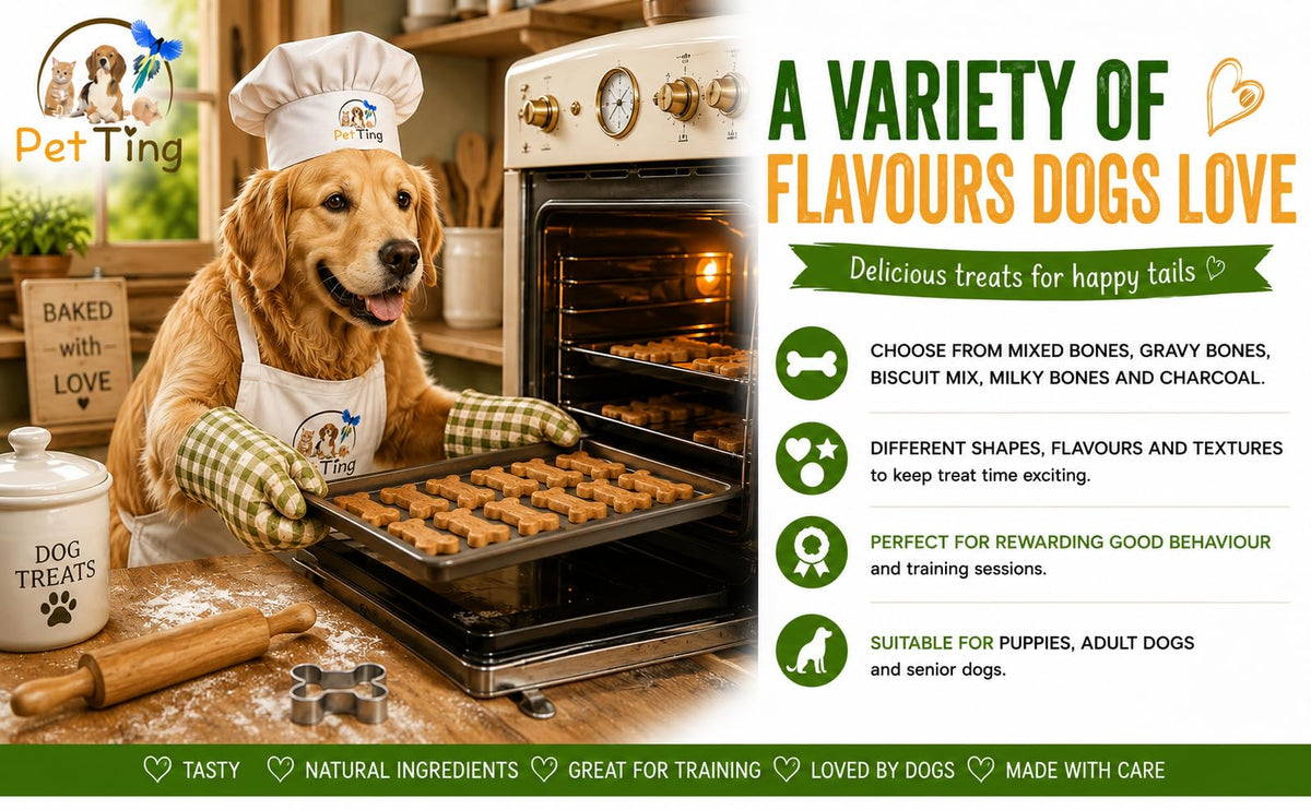 Gravy Bones Biscuits Dog Treats (1 Litre)