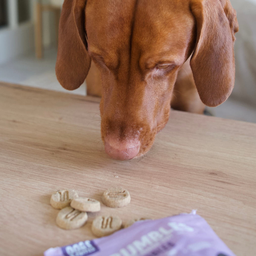 Scrumbles • Dog Treats • Hypoallergenic • All Lifestages • Chicken & Duck • 90g Bag • Gut Friendly Prebiotics • Gluten Free • Superfoods