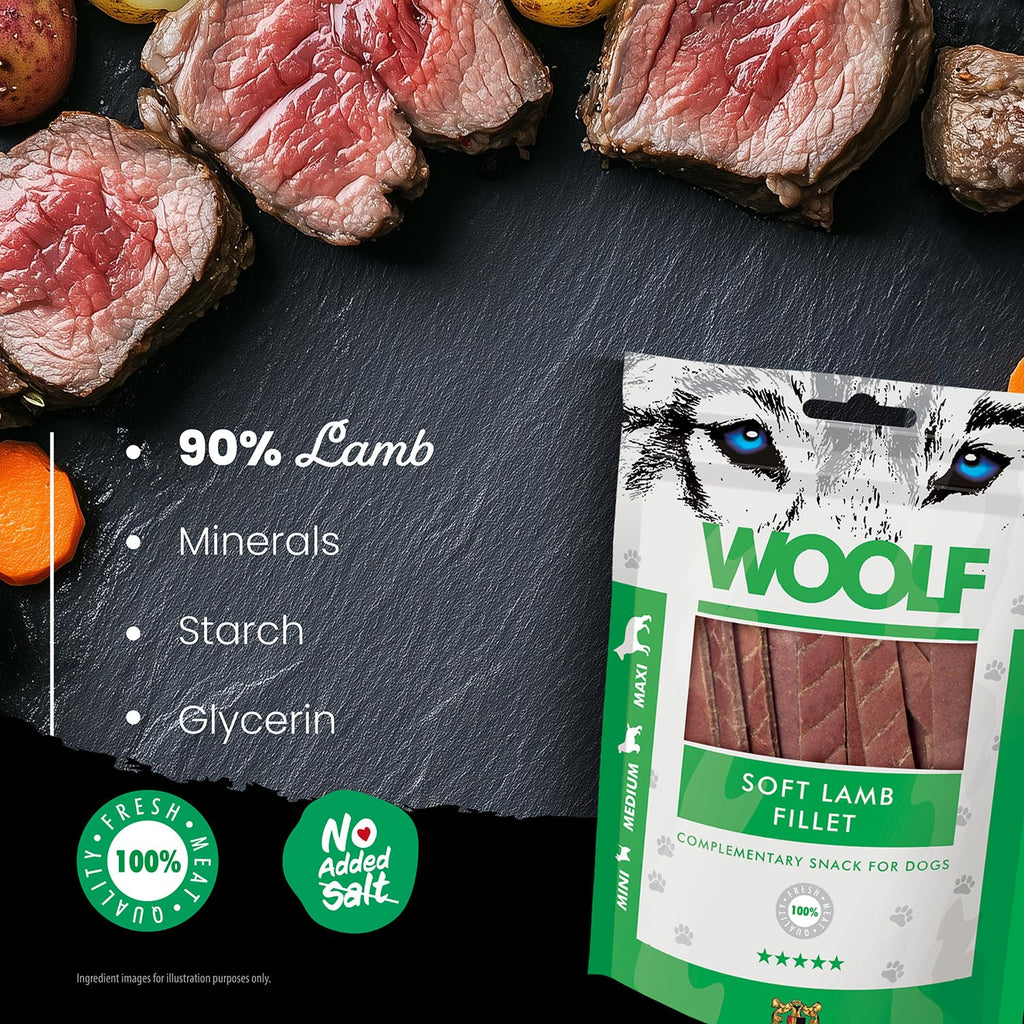 WOOLF Chicken Fillet Dog Treats - Complementary Snacks for Dogs | 100g