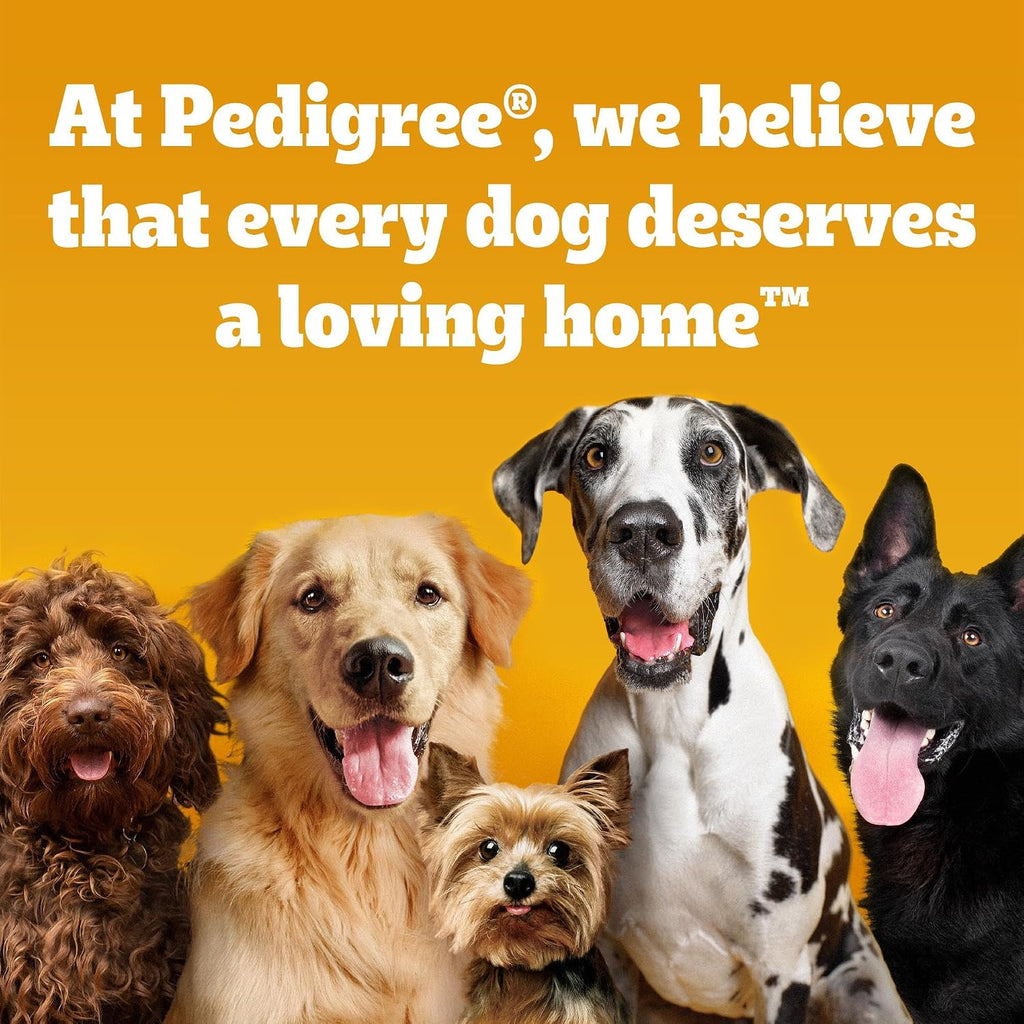 Pedigree Biscrok Adult Dog Treats Multi Mix Biscuits 500g