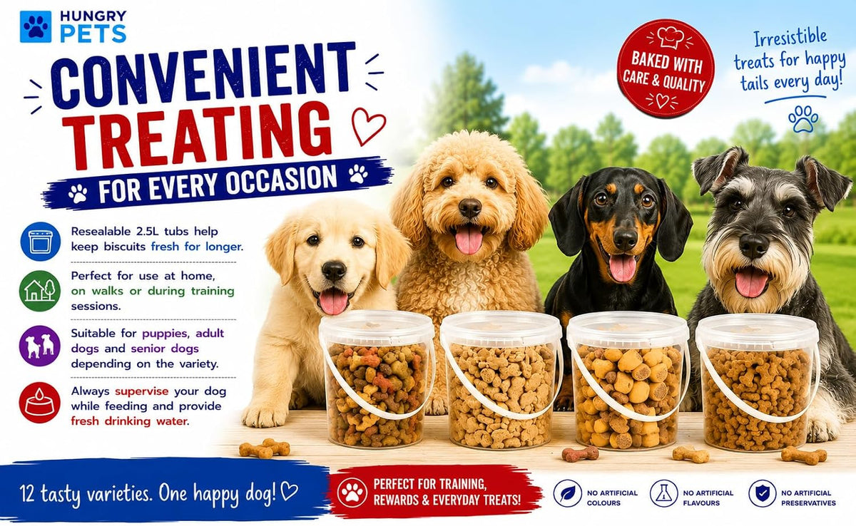 Dog Biscuit Treats 2.5L (Bone Mix)