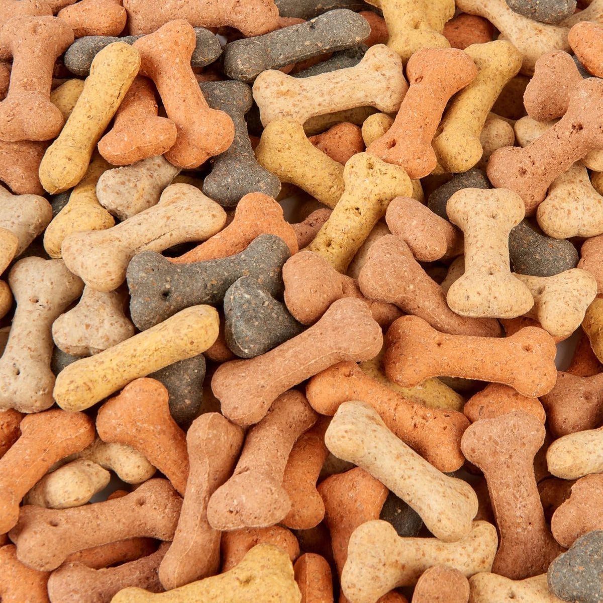 Dog Biscuit Treats 2.5L (Bone Mix)