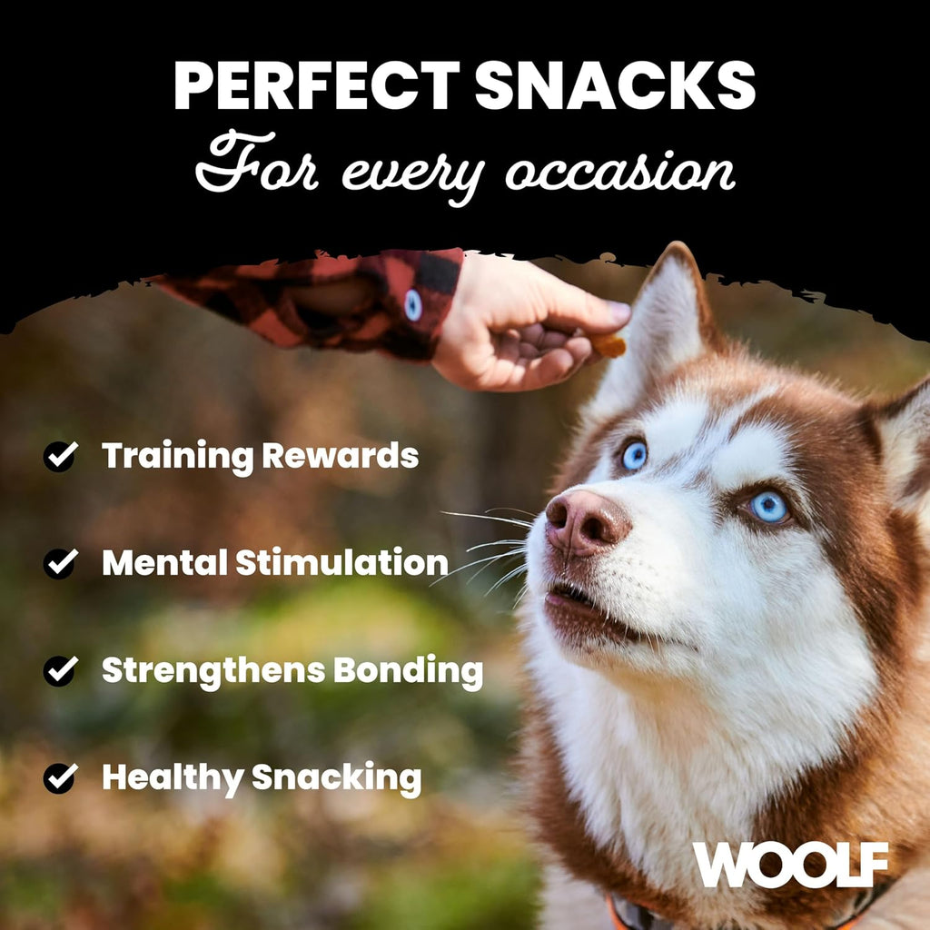 WOOLF Chicken Fillet Dog Treats - Complementary Snacks for Dogs | 100g