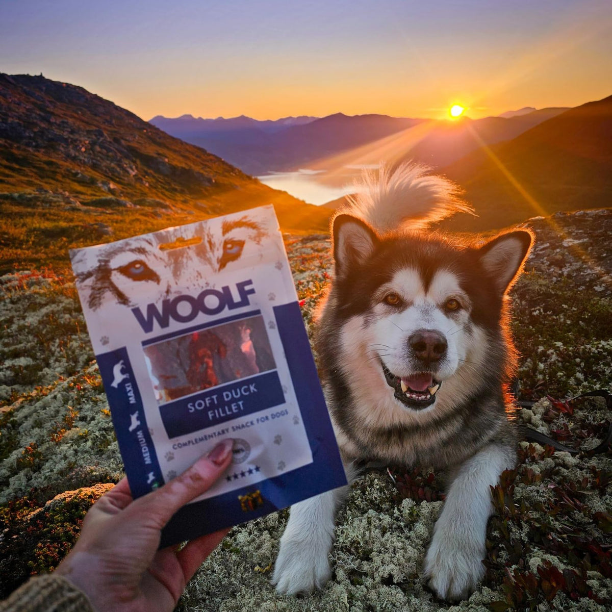 WOOLF Chicken Fillet Dog Treats - Complementary Snacks for Dogs | 100g