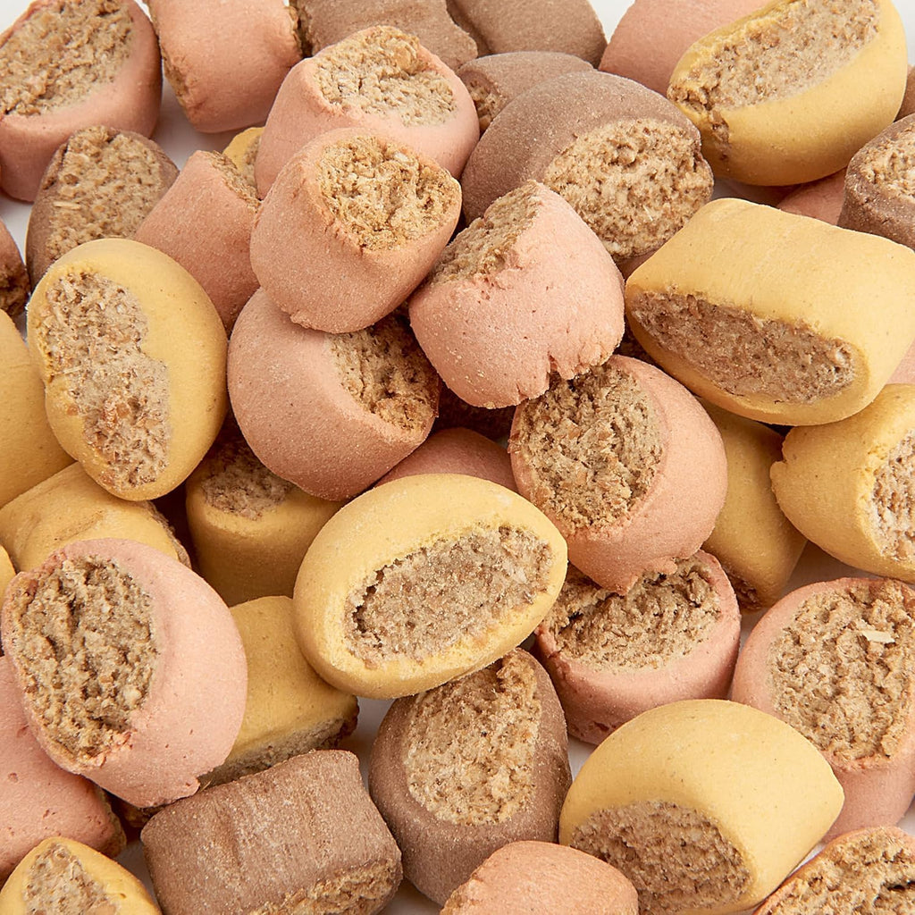 Dog Biscuit Treats 2.5L (Bone Mix)