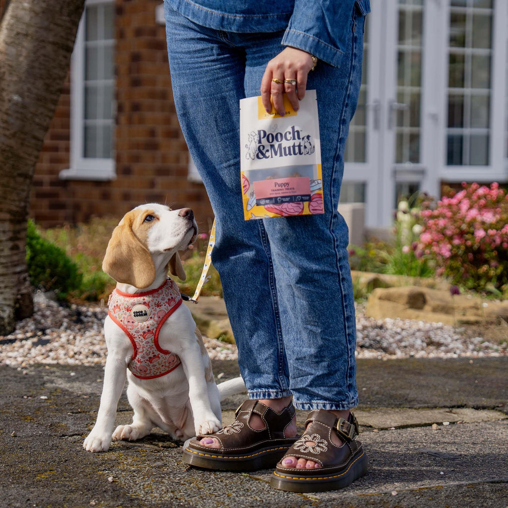 Pooch & Mutt - Fish Jerky, Training Treats, 1x210g