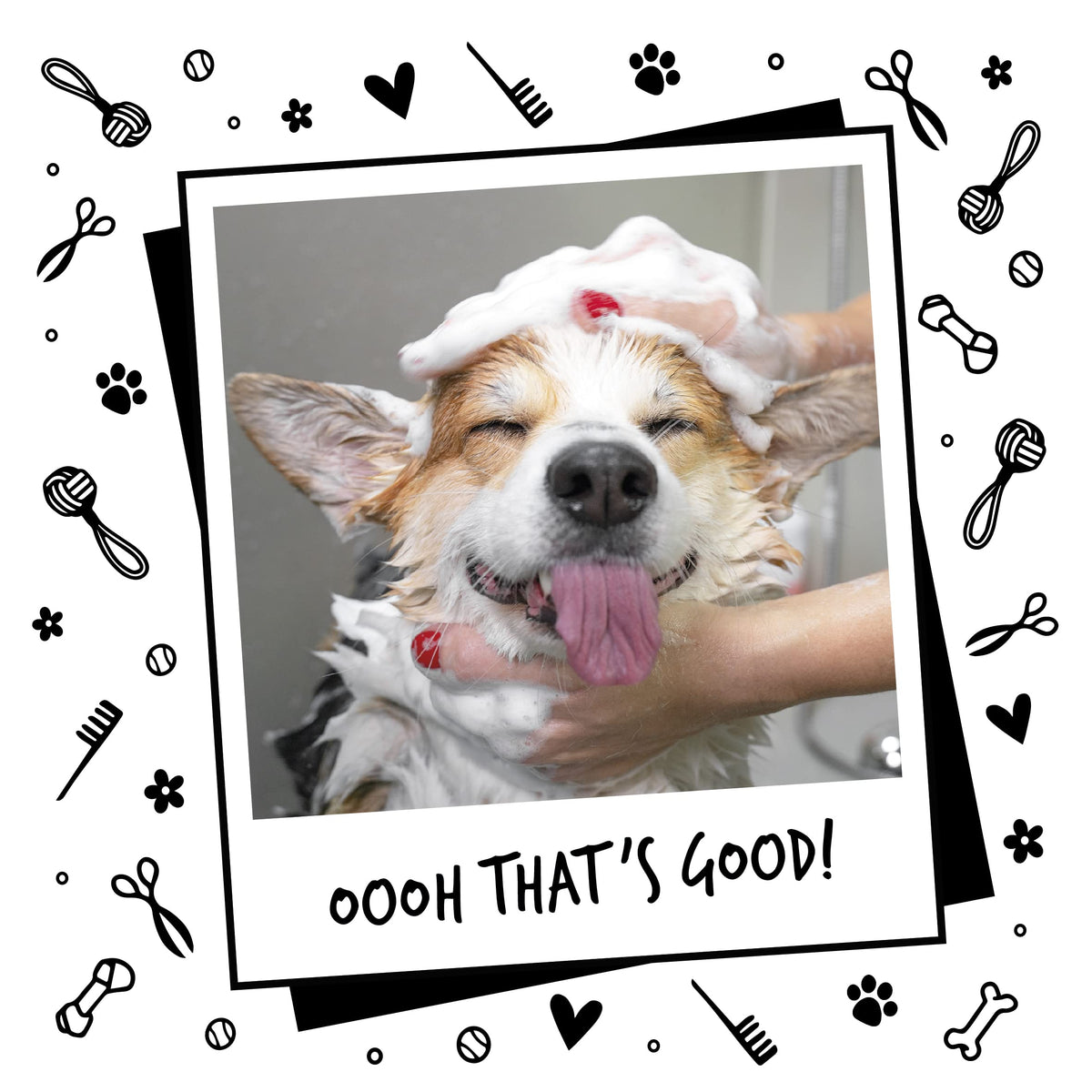 BUGALUGS Baby Fresh Dog Shampoo grooming products for smelly dogs with baby powder scent, best puppy shampoo, Vegan pet shampoo professional (625ml)