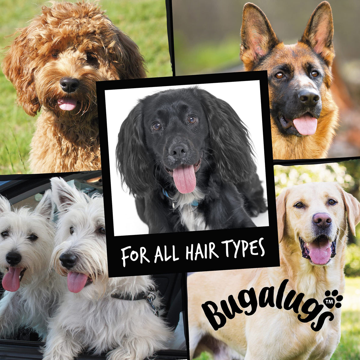 BUGALUGS Baby Fresh Dog Shampoo grooming products for smelly dogs with baby powder scent, best puppy shampoo, Vegan pet shampoo professional (625ml)